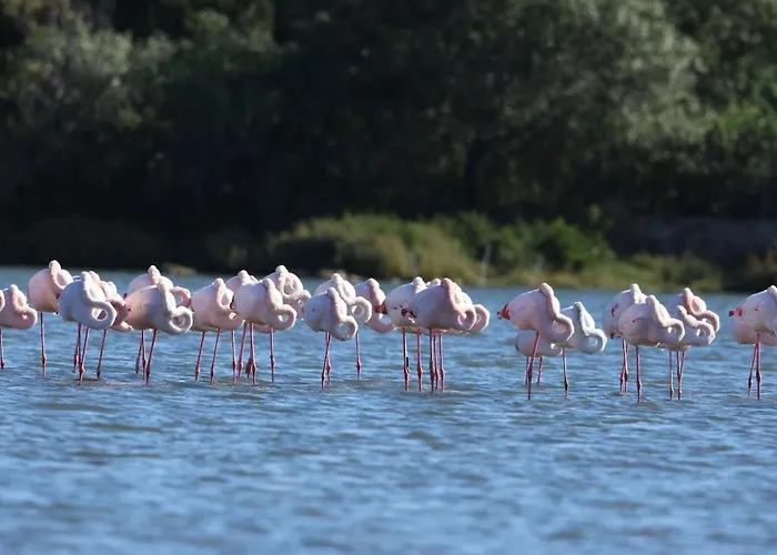 Le Dimore Del Sole Tavolara *