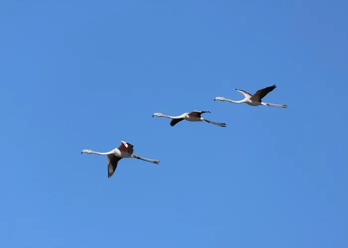 Appartement Le Dimore Del Sole Tavolara Olbia