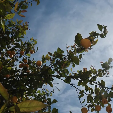 Le Dimore Del Sole Tavolara Apartment *