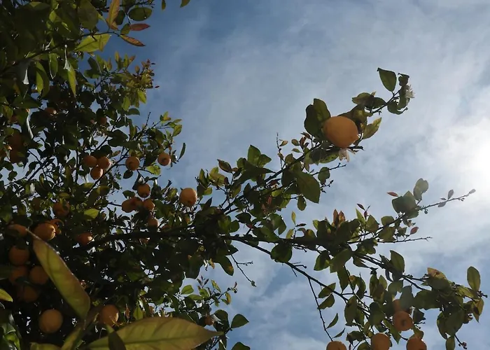 Le Dimore Del Sole Int 8 Appartamento *